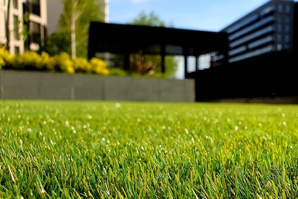 How to Keep Your Lawn Looking Green All Summer Long