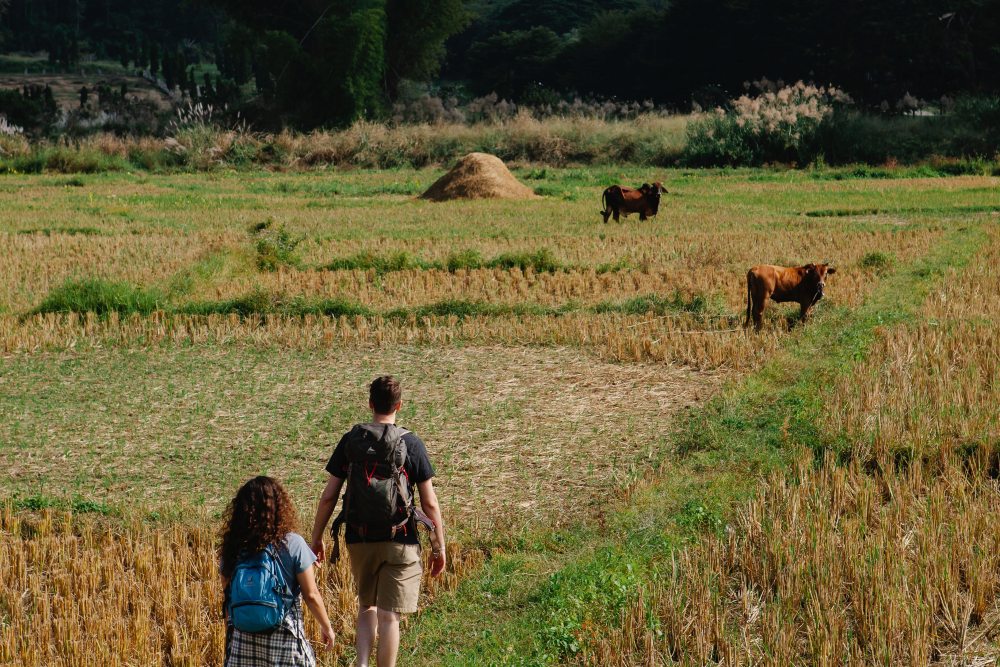 The Importance of Field Trips in Children's Education