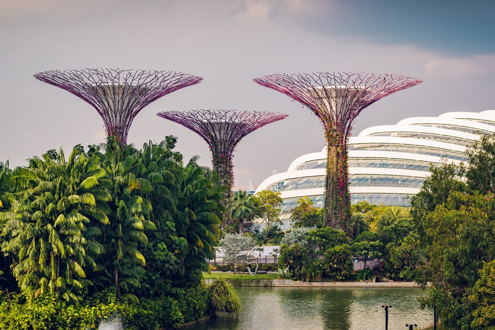 Planning a Day of Family Fun in Singapore